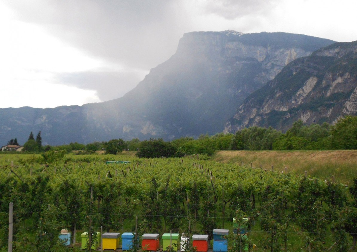 Augustour / Gewitter bei Trient