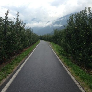 Etappe 1 AUGUSTOUR 2014: Apfel Plantagen